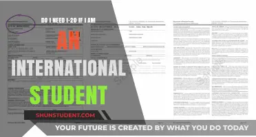International Students: Understanding the I-20 Requirement