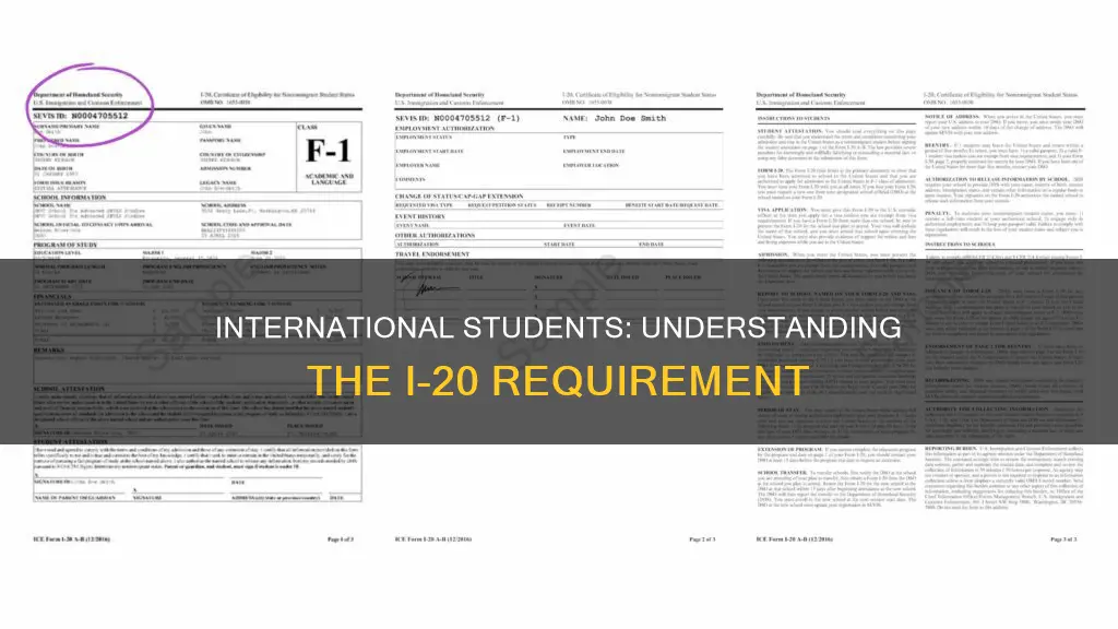 do i need i-20 if i am an international student