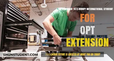 E-Verify for OPT Extension: What International Students Need to Know