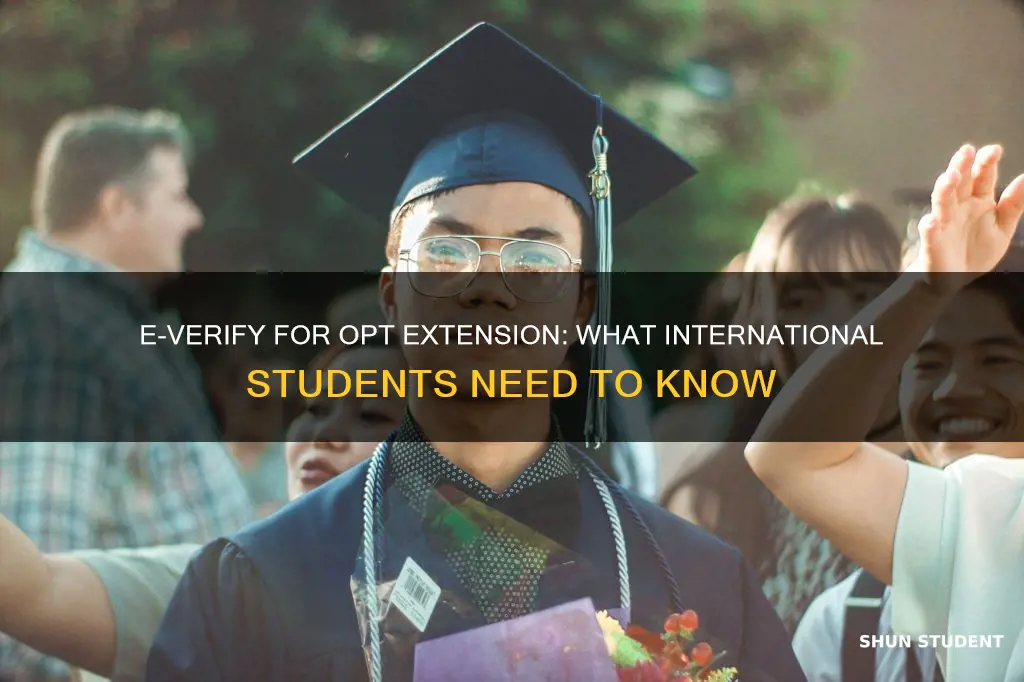 do i need to e-verify international student for opt extension