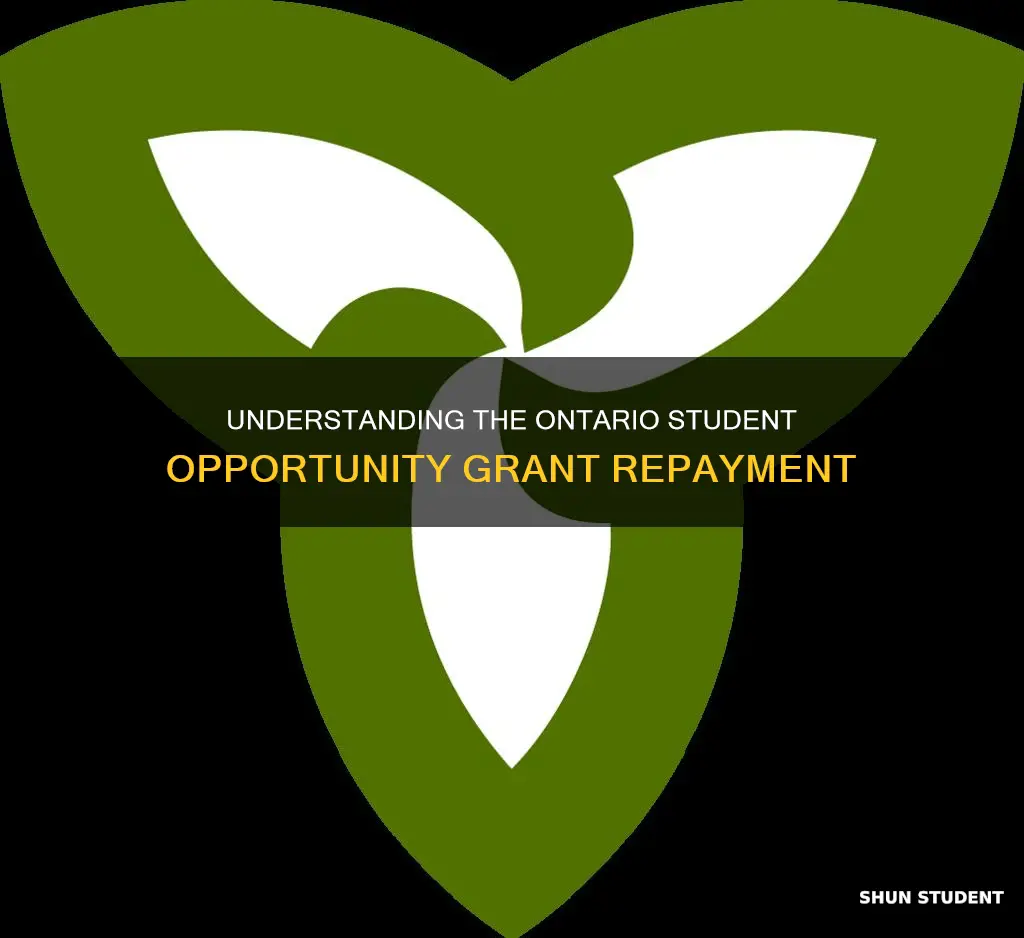 do i need to pay back ontario student opportunity grant