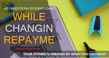 Student Loan Repayment: Do I Need to Pay During Changes?