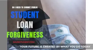 Should You Submit for Public Student Loan Forgiveness? Key Considerations