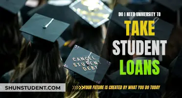 Student Loans: Do You Need a University Degree?