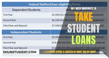 Student Loans: University Degrees and Debt