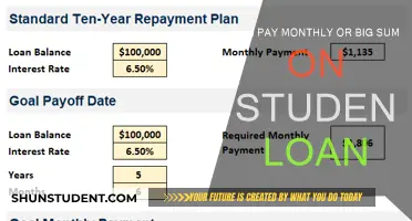 Student Loans: Monthly Payments or One Big Sum?