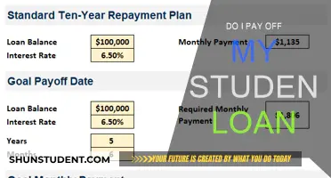 Student Loan Strategies: Repayment and Beyond