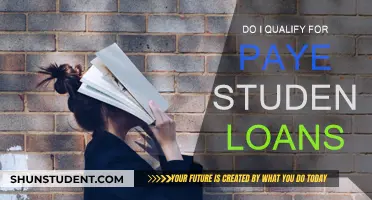 Who Qualifies for PAYE Student Loans?