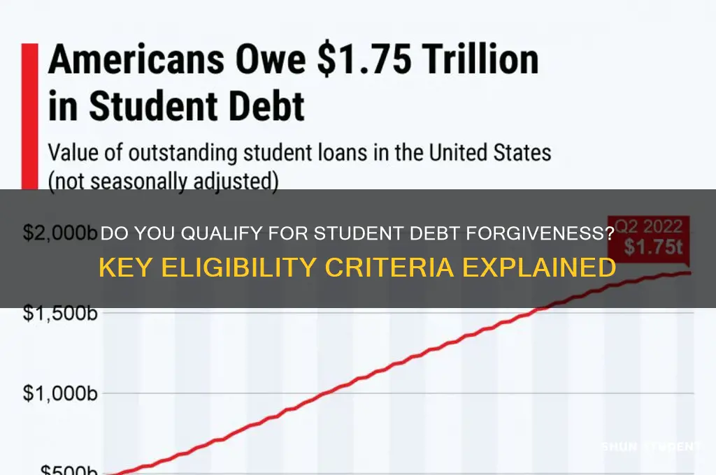 do i qualify for student debt forgiveness