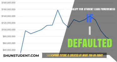 Defaulted Student Loans: Do You Qualify for Loan Forgiveness?