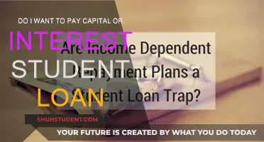 Capital or Interest: Which Student Loan Payment is Better?