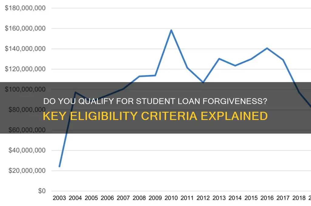 do i wualify for student loan forgiveness