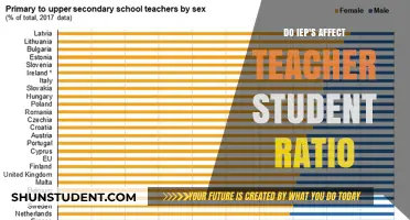Do IEPs Impact Teacher-Student Ratios in Classrooms?