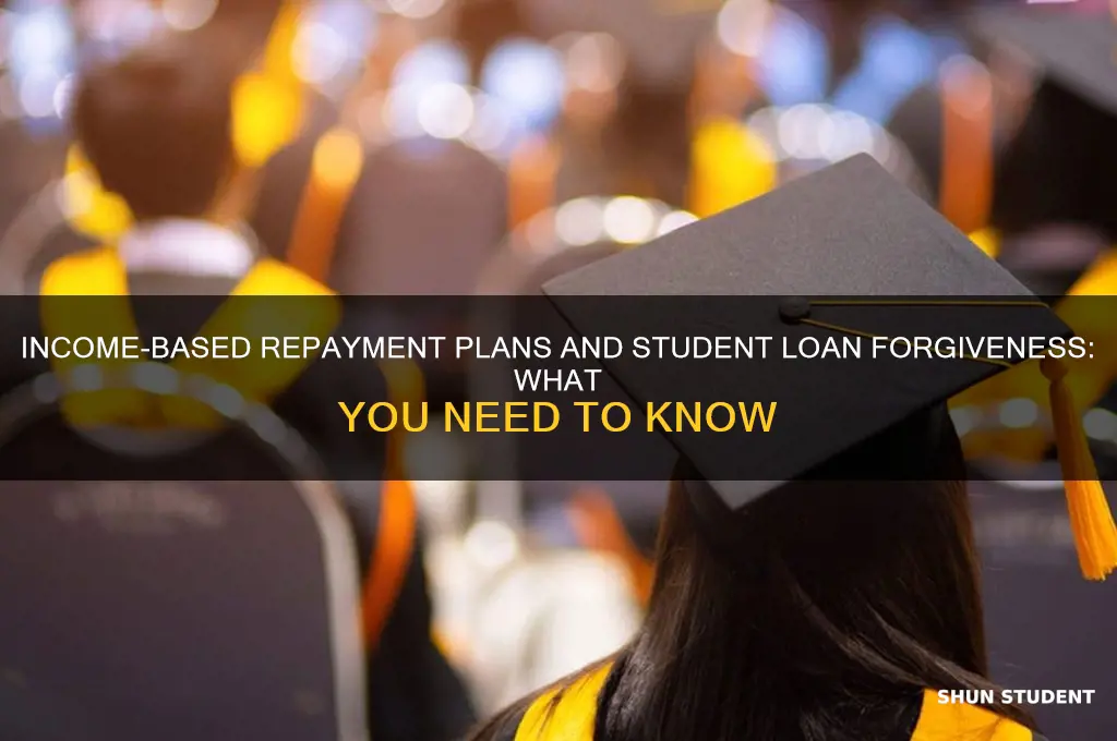 do income based plans qualify for student loan forgiveness