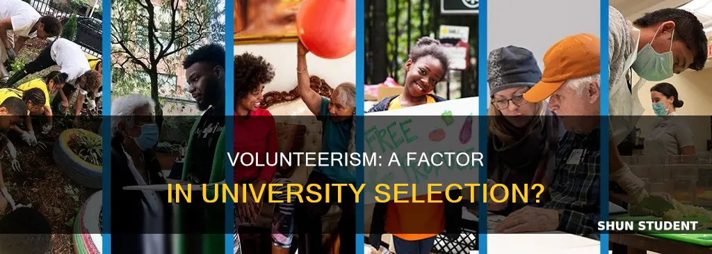 do incoming college students care about the university volunteerism