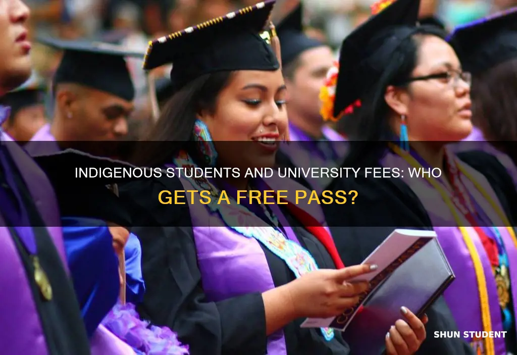 do indigenous students get free university