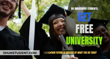 Indigenous Students: Free University Education?