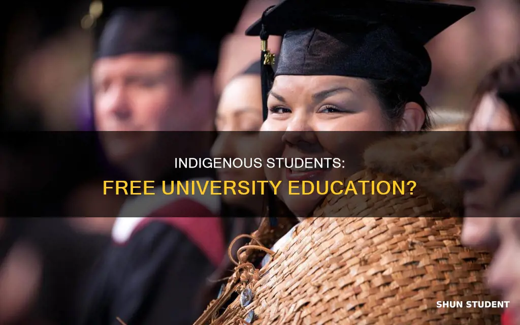 do indigenous students get free university