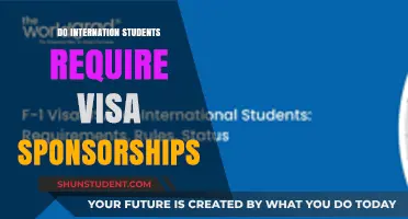 Visa Sponsorships: What International Students Need to Know