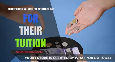 International Students: Who Pays for Their Tuition?