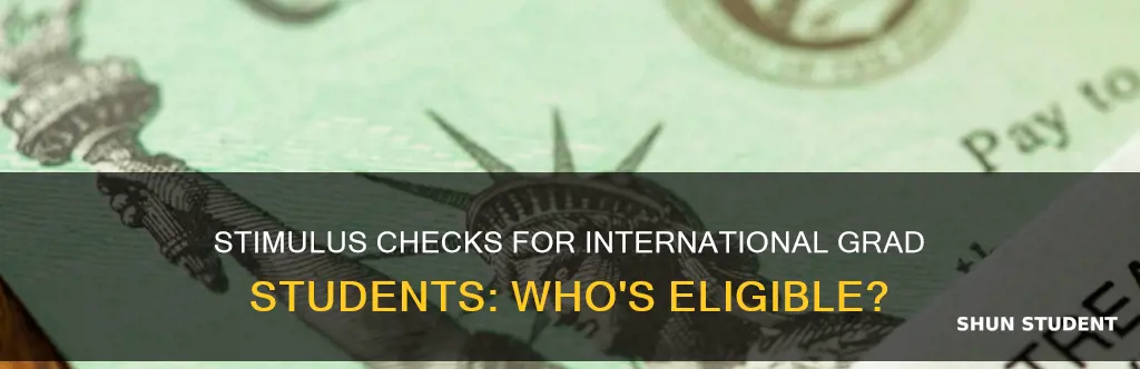 do international graduate students get stimulus check