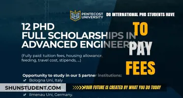 International PhD Students: Who Pays the Fees?