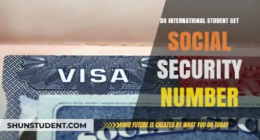Social Security Numbers: International Students' Eligibility