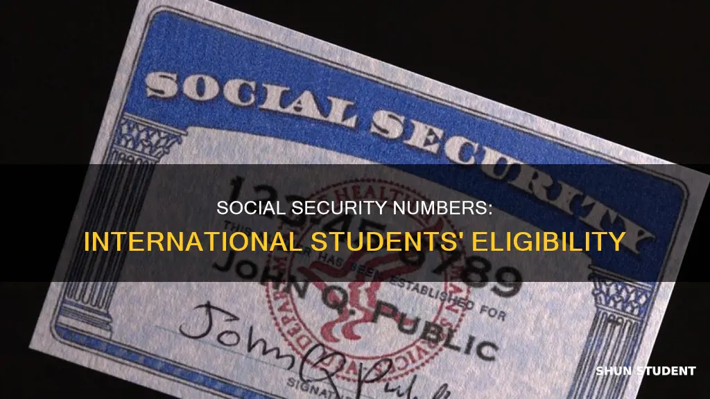 do international student get social security number