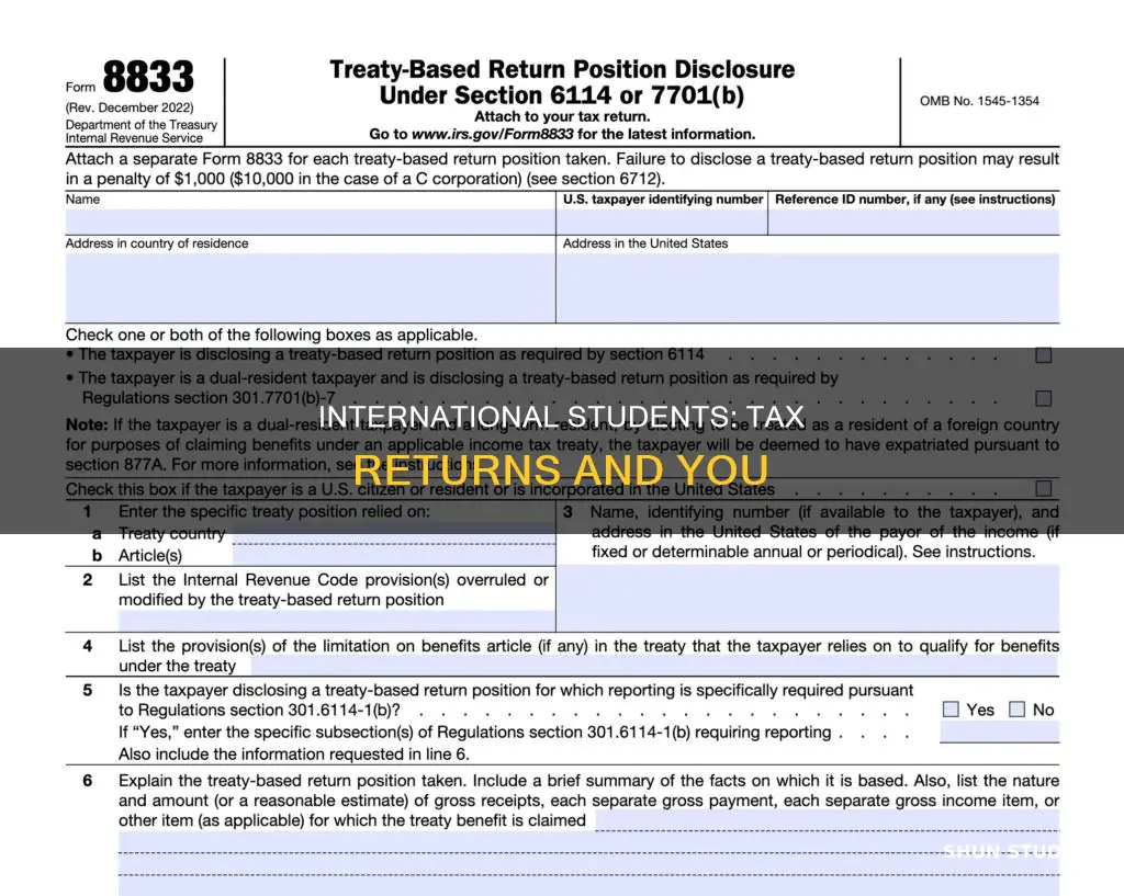 do international student get tax return