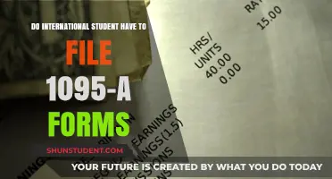 International Students: Do You Need to File Form 1095-A?