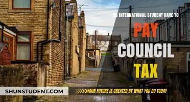 International Students and Council Tax: Who Pays?