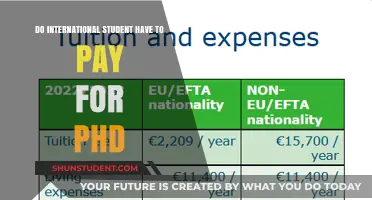 Funding a PhD: International Student Fees Explained