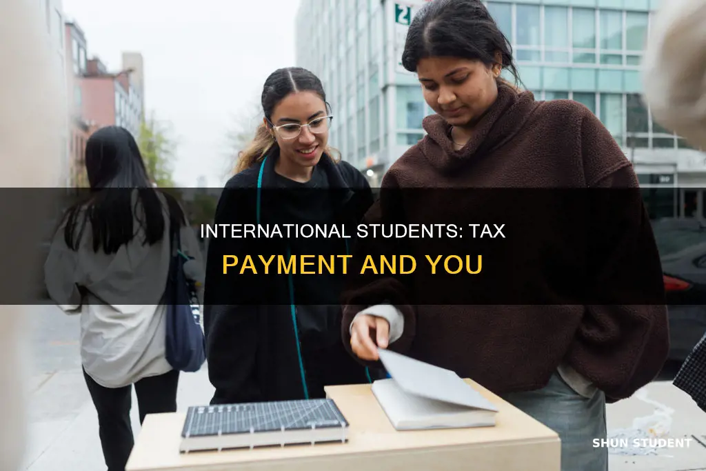 do international student have to pay tax