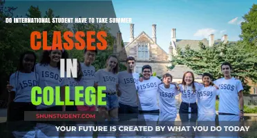 Summer Classes: International Students' College Requirements