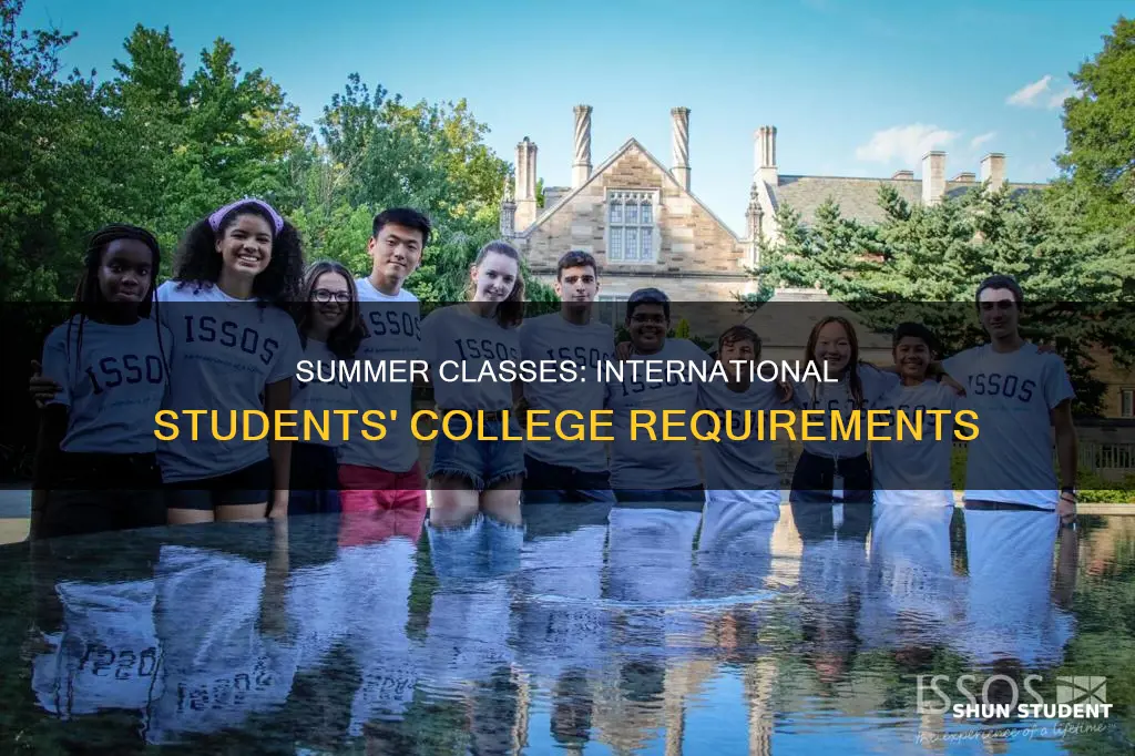 do international student have to take summer classes in college