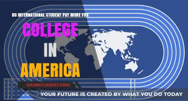 International Students: College Fees in America