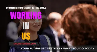 International Students: Working and Paying Taxes in the US