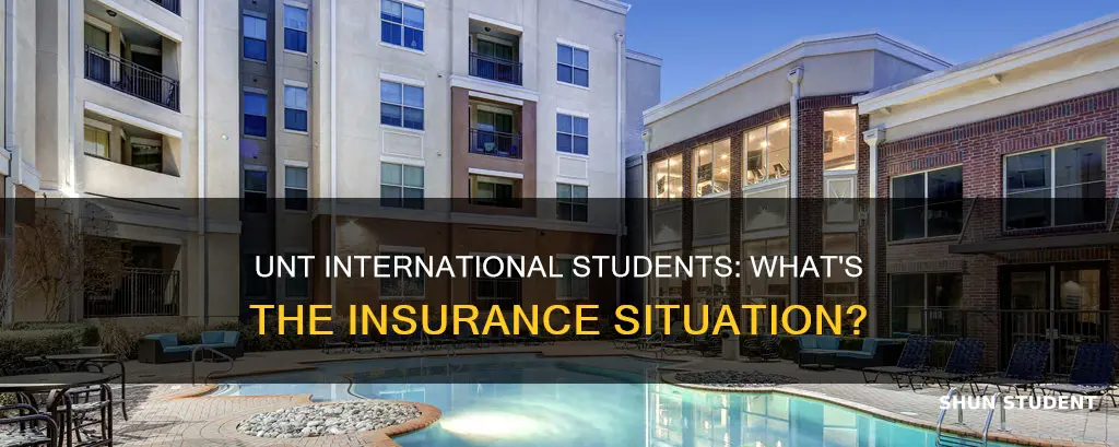 do international students at unt have student insurance