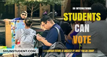 International Students: Can They Vote?