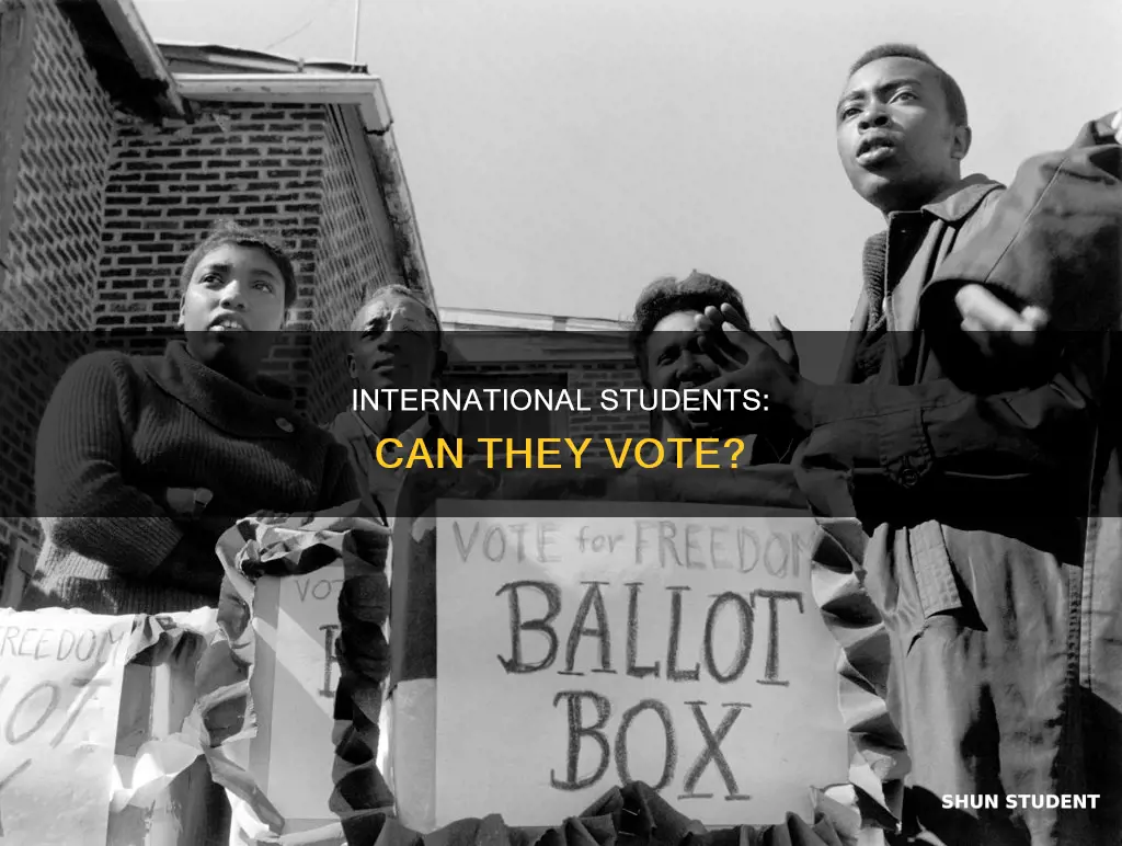 do international students can vote