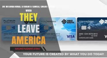 Credit Cards: International Students' Departure Dilemma
