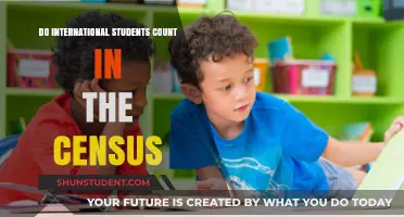 International Students: Census Inclusion?