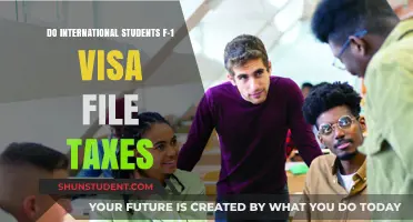 International Students: File Your Taxes Right