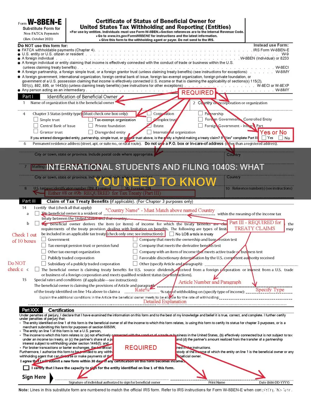 do international students file 1040