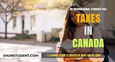 International Students: File Taxes in Canada?