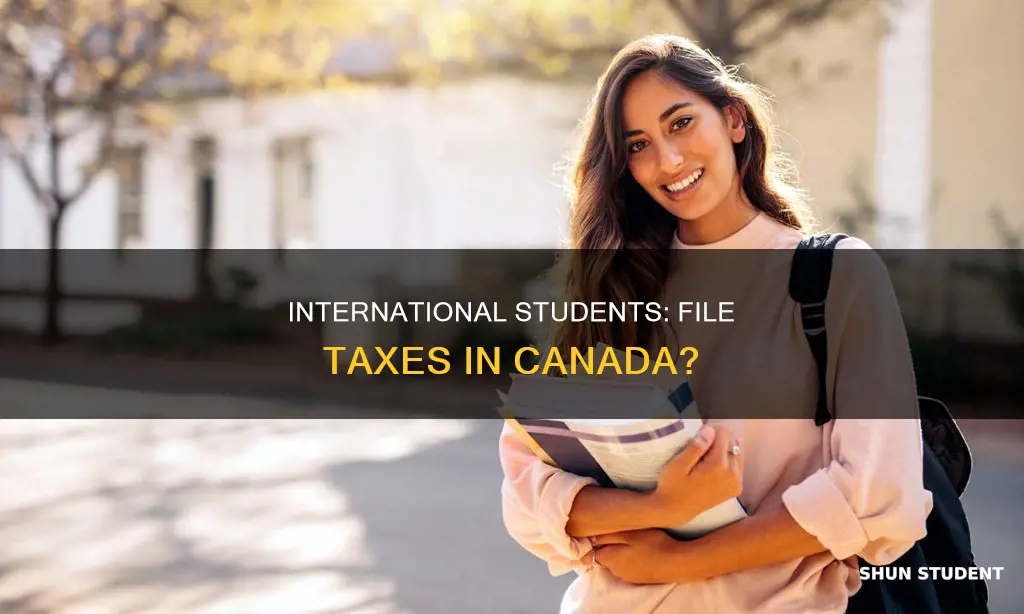 do international students file taxes in canada