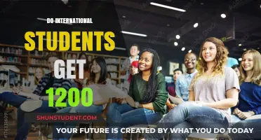 How International Students Can Access the $1200 Grant