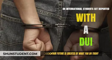International Students: DUI Risks and Deportation