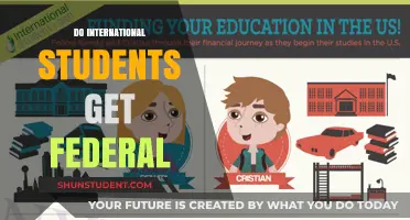 How International Students Can Access Federal Aid