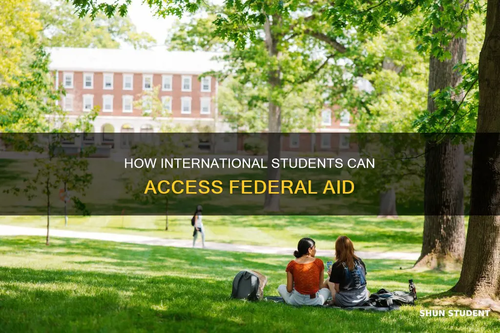 do international students get federal
